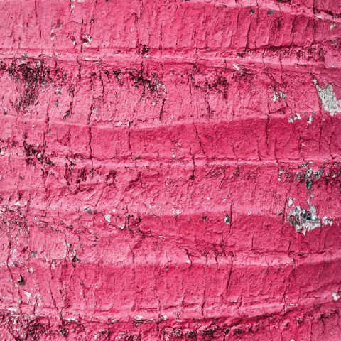 fond-photo-bois-rose