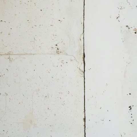 fond-photo-béton-blanc
