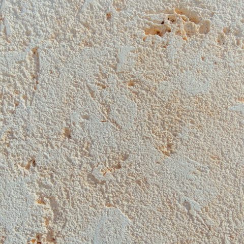 fond-photo-couleur-corail