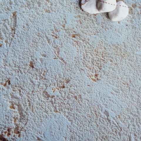 Fond Photo Corail