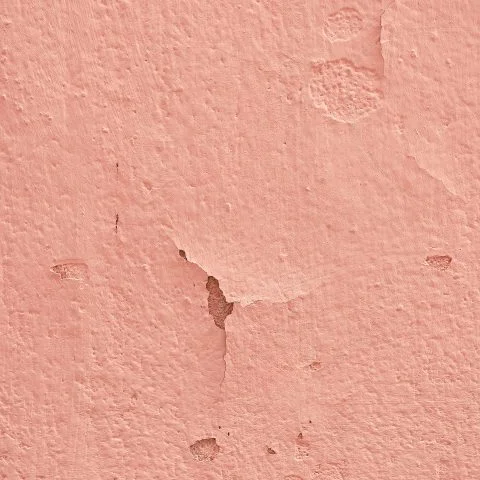 fond-photo-crepi-rose